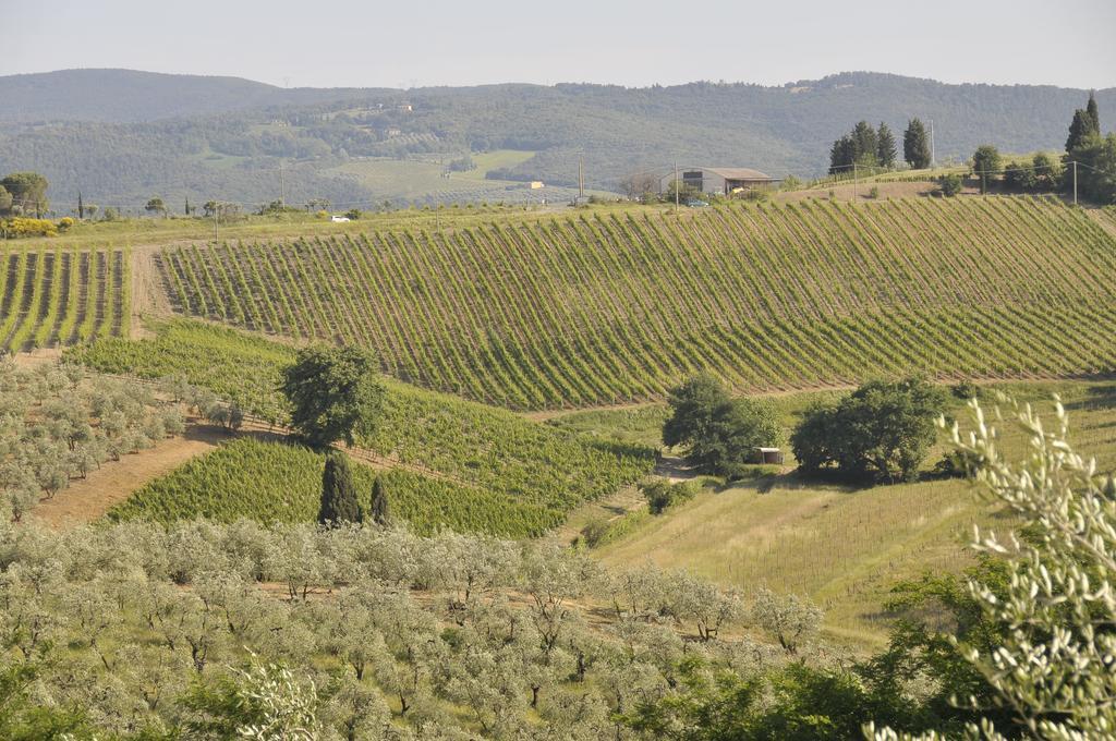 Agriturismo Renai E Monte II Gambassi Terme Buitenkant foto